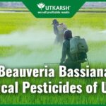 Organic Farmers Share Their Experiences