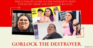 https://ventsmagazine.com.in/