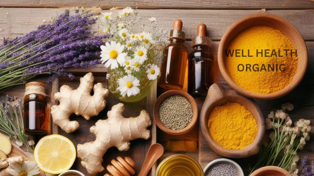 Wellhealthorganic-Ayurvedic: The Complete Guide to Natural Wellness