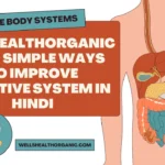 Wellhealthorganic.com-Simple-Ways-To-Improve-Digestive-System-in-Hindi