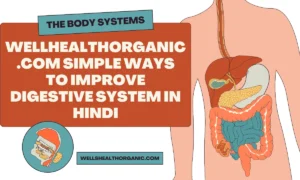 Wellhealthorganic.com-Simple-Ways-To-Improve-Digestive-System-in-Hindi