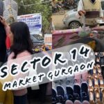  Sector 14, Gurgaon: The Full Market Review