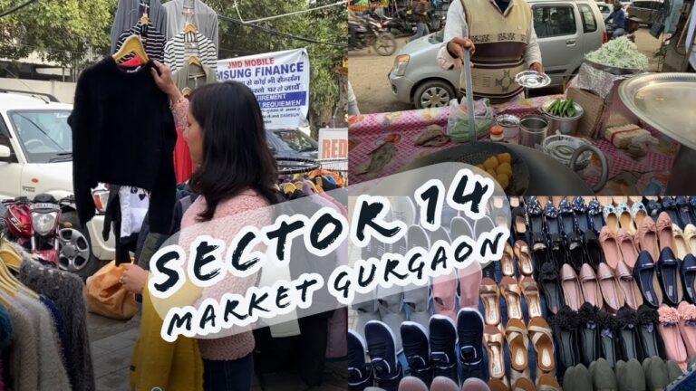  Sector 14, Gurgaon: The Full Market Review