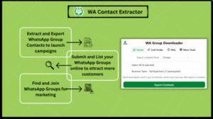 WhatsApp Contacts Extractor 2025 | Export Contacts